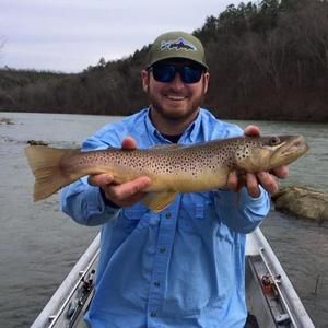 Meet your Posher, Mike